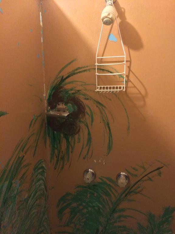 Hotel Honokaa Chambre photo