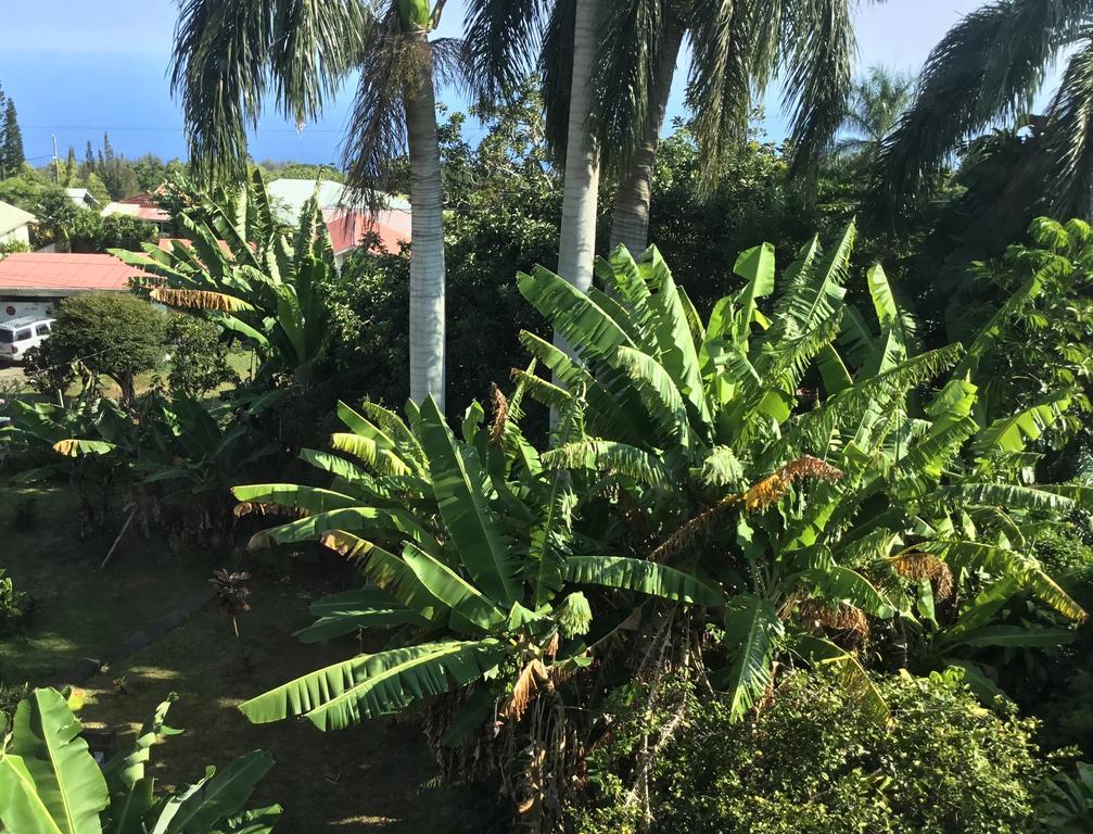 Hotel Honokaa Extérieur photo