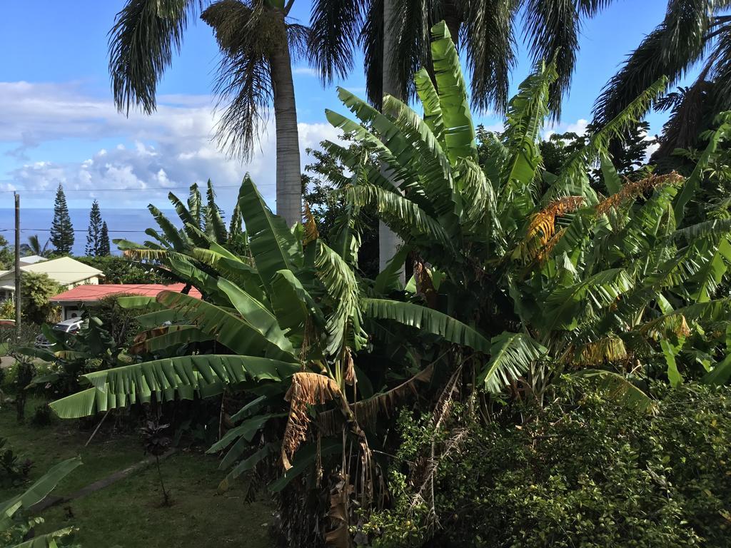 Hotel Honokaa Extérieur photo
